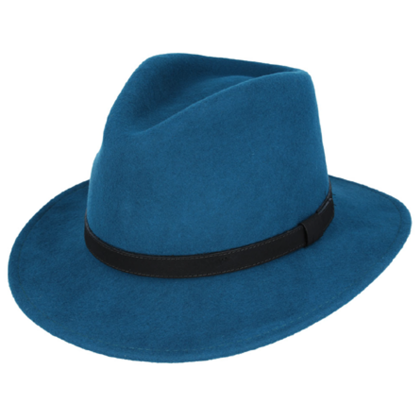 Modern Fedora Hat