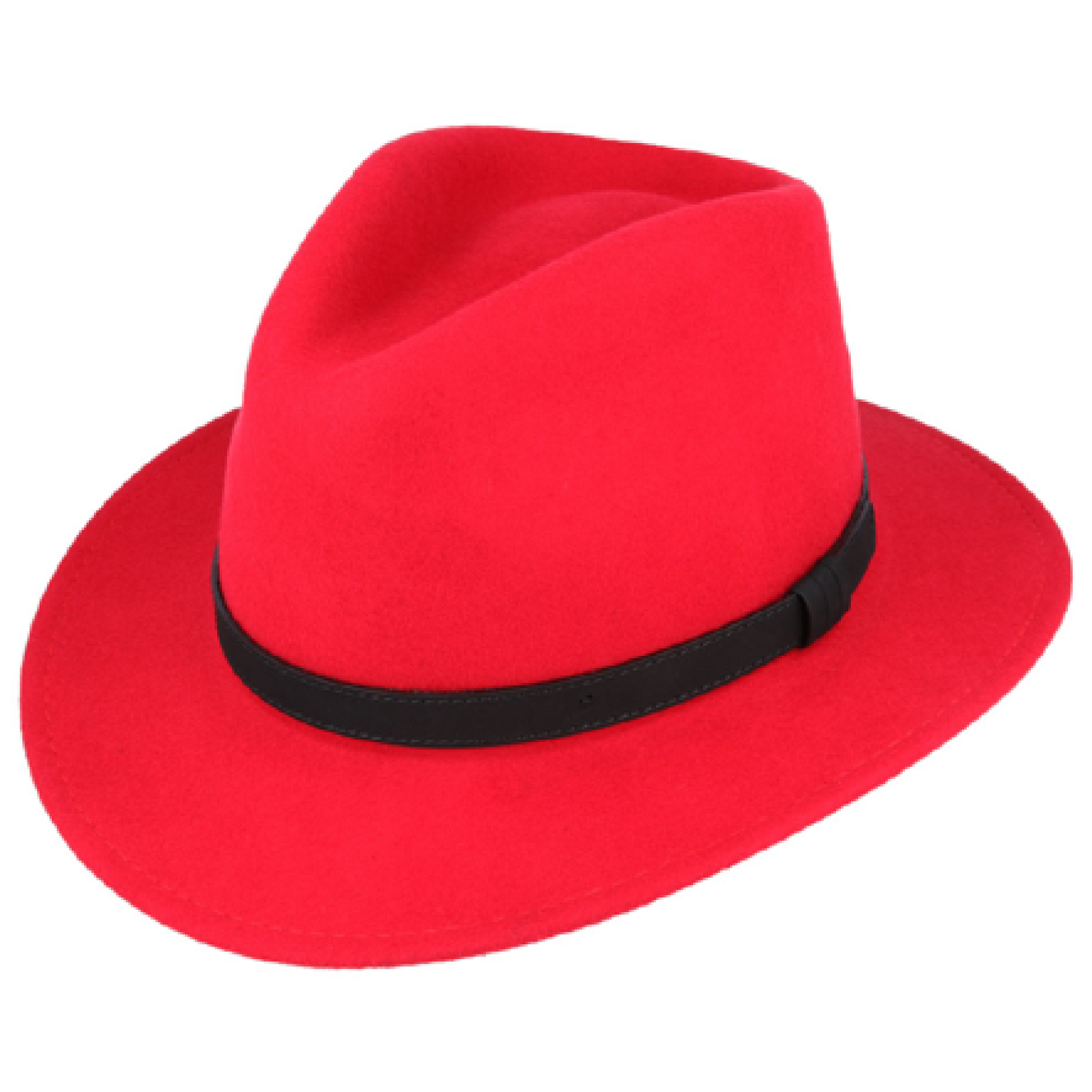 Modern Fedora Hat