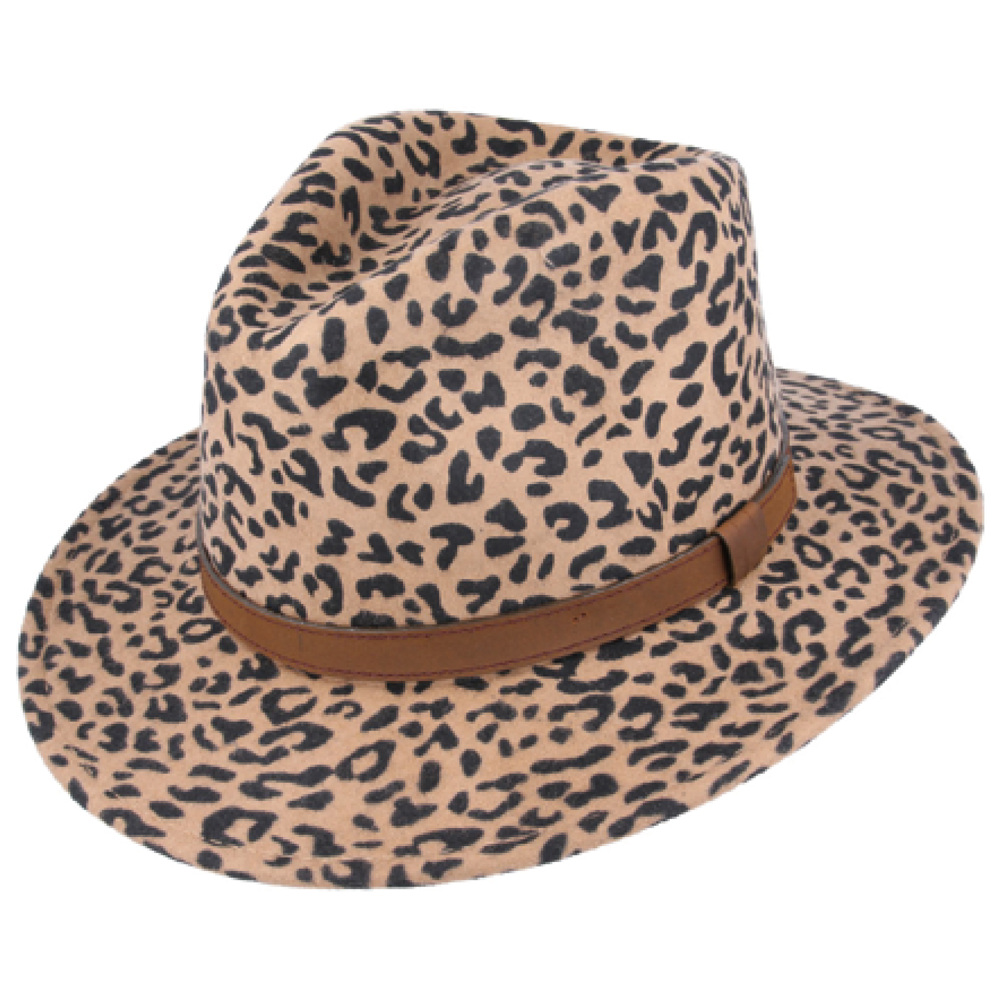 Modern Fedora Hat