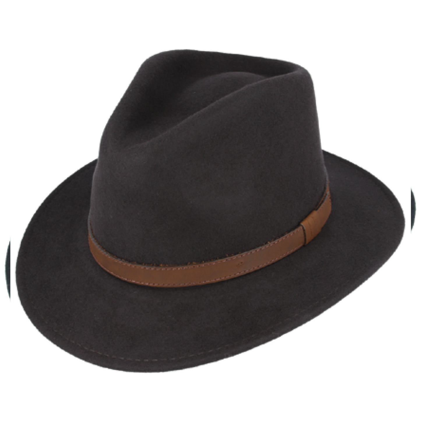 Modern Fedora Hat