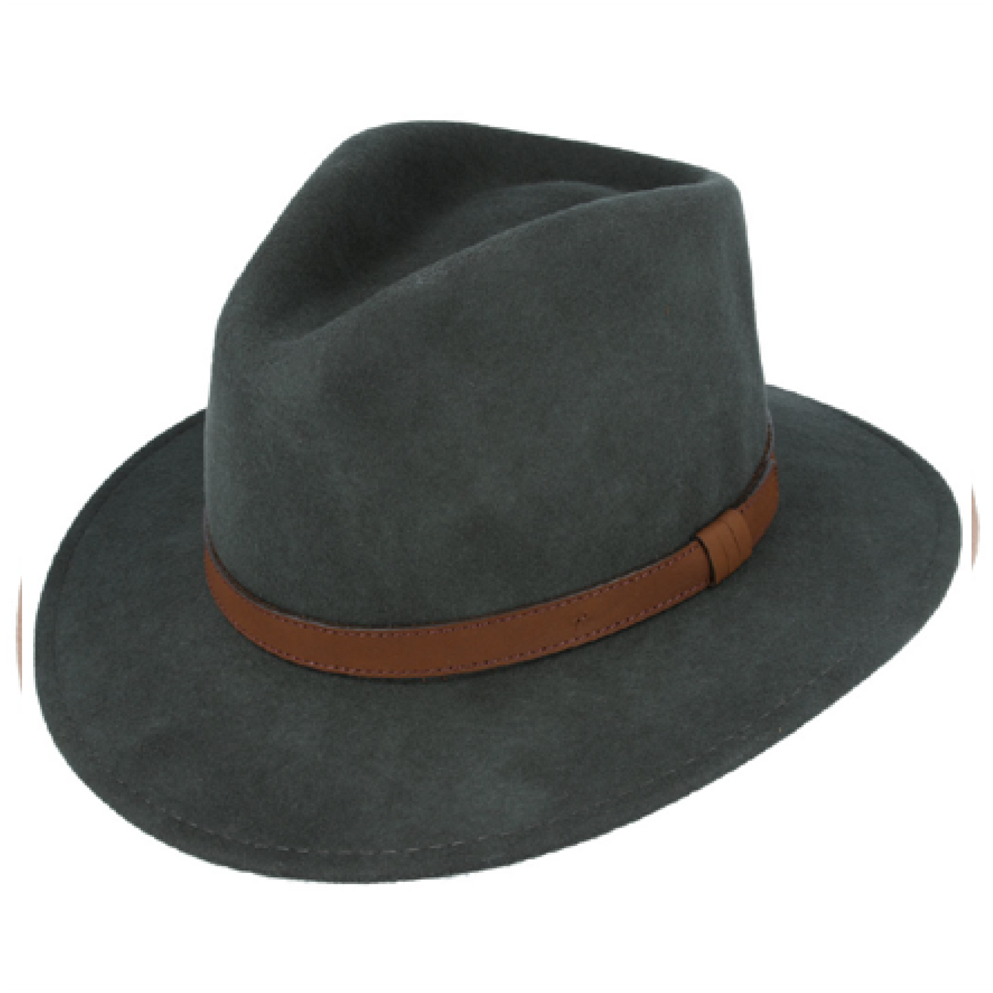 Modern Fedora Hat