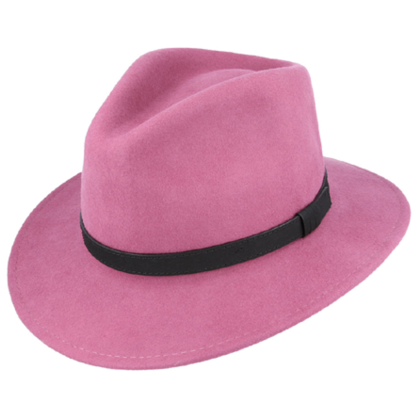 Modern Fedora Hat