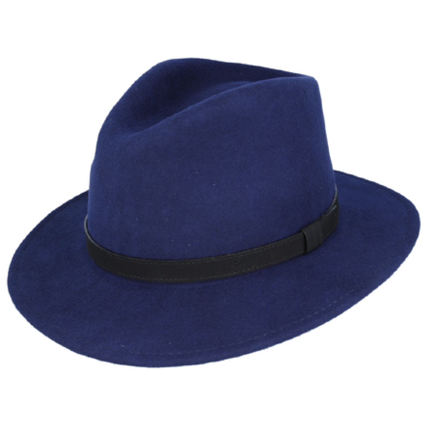 Modern Fedora Hat