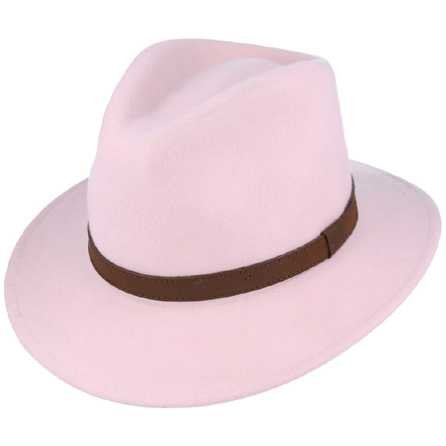 Modern Fedora Hat