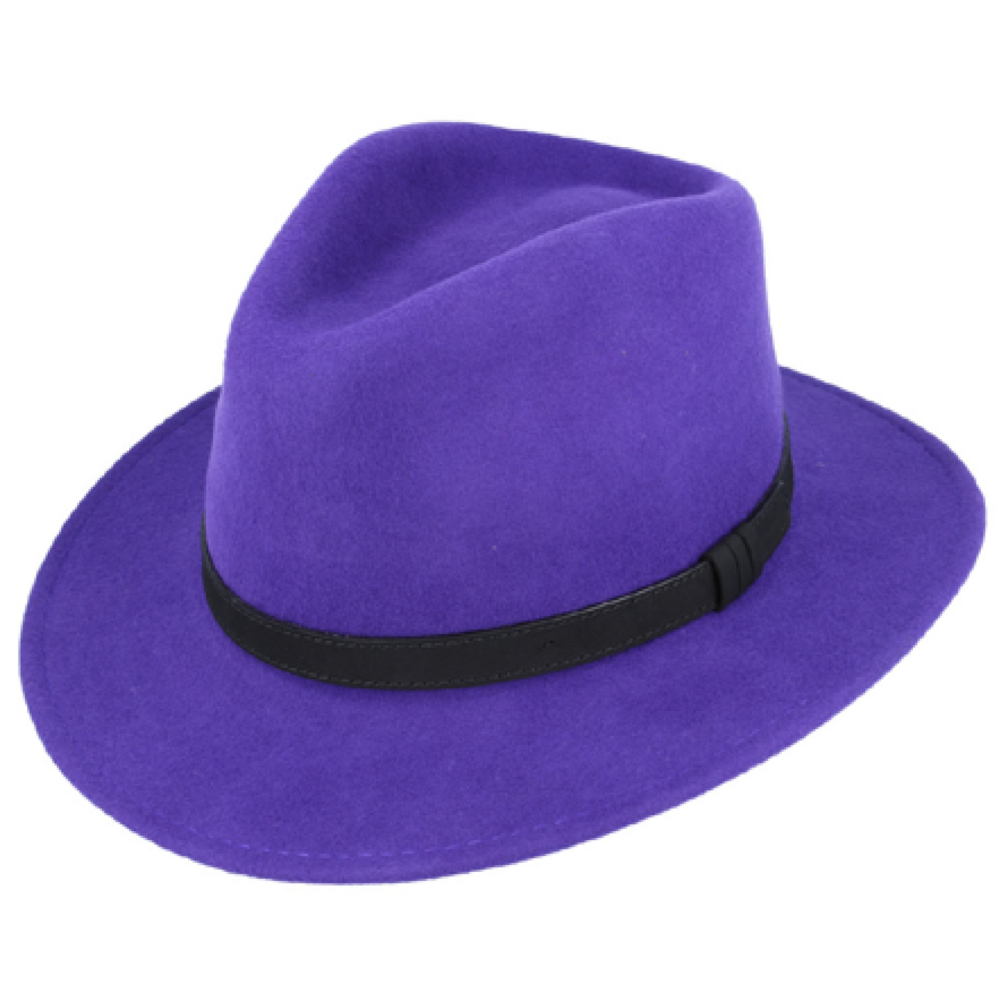 Modern Fedora Hat