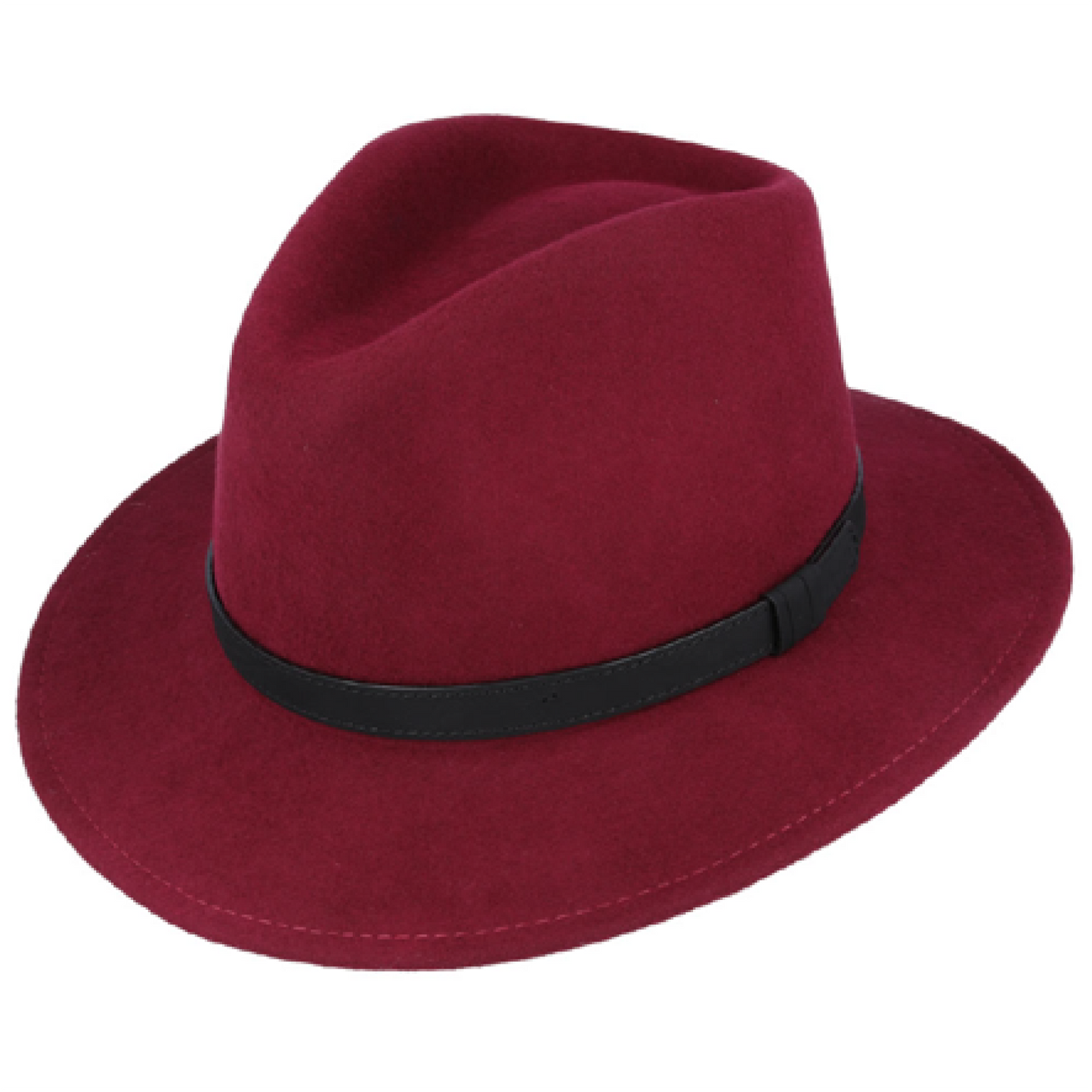 Modern Fedora Hat