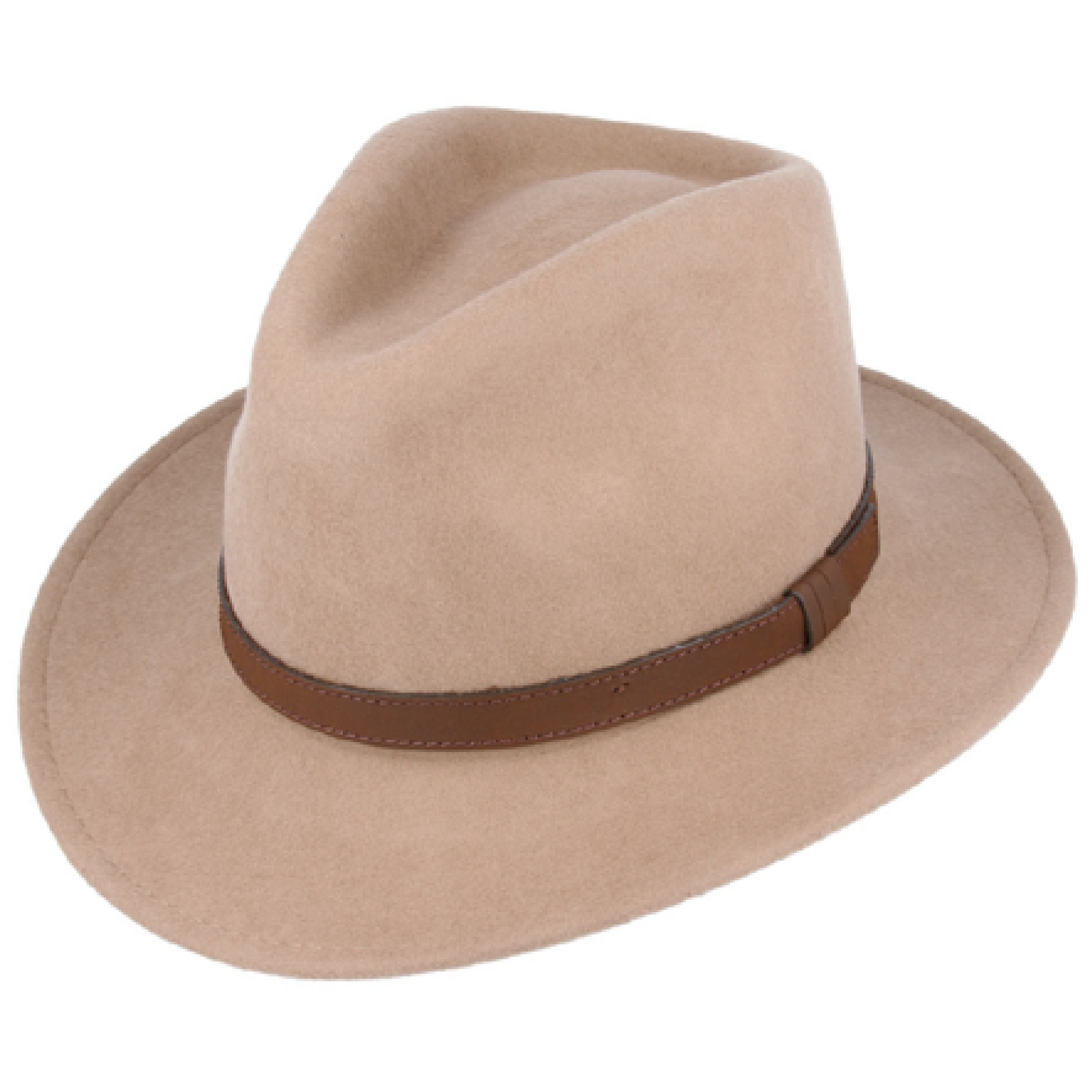 Modern Fedora Hat