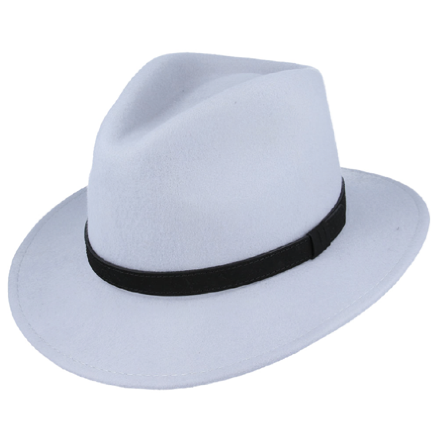 Modern Fedora Hat