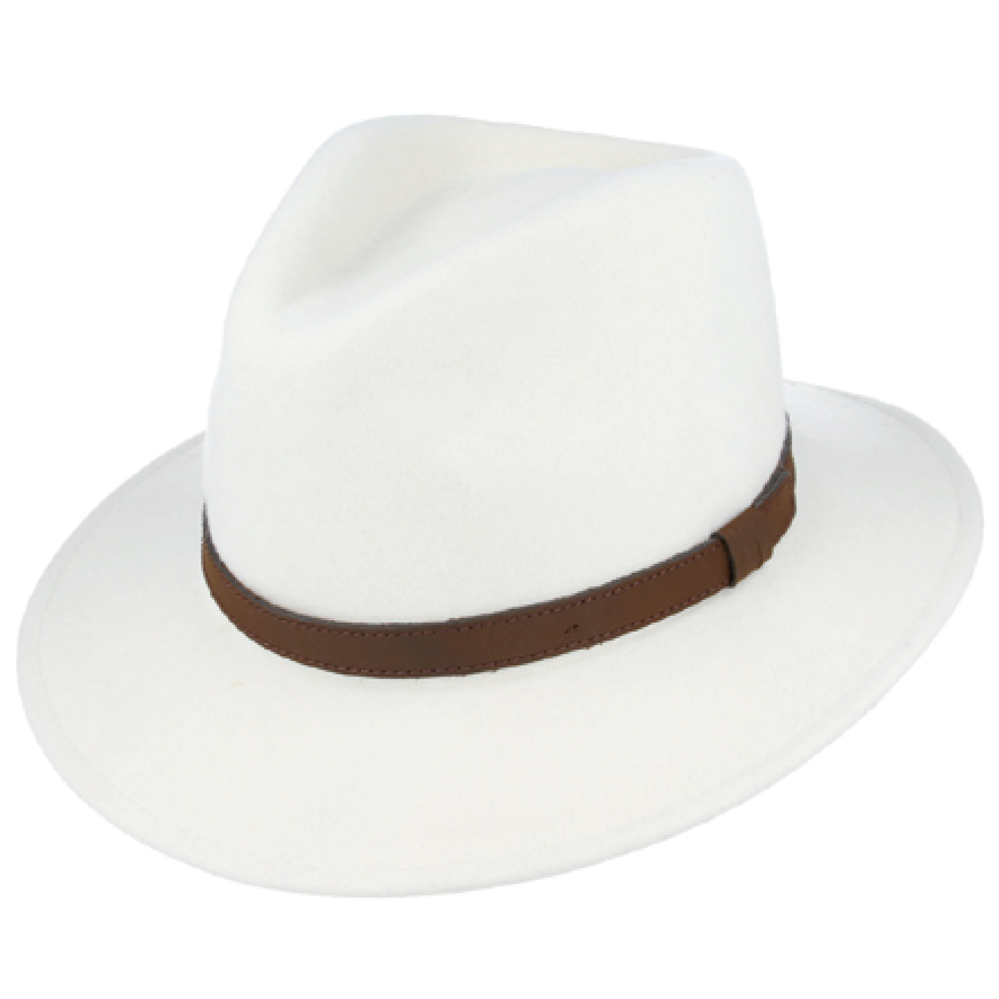 Modern Fedora Hat