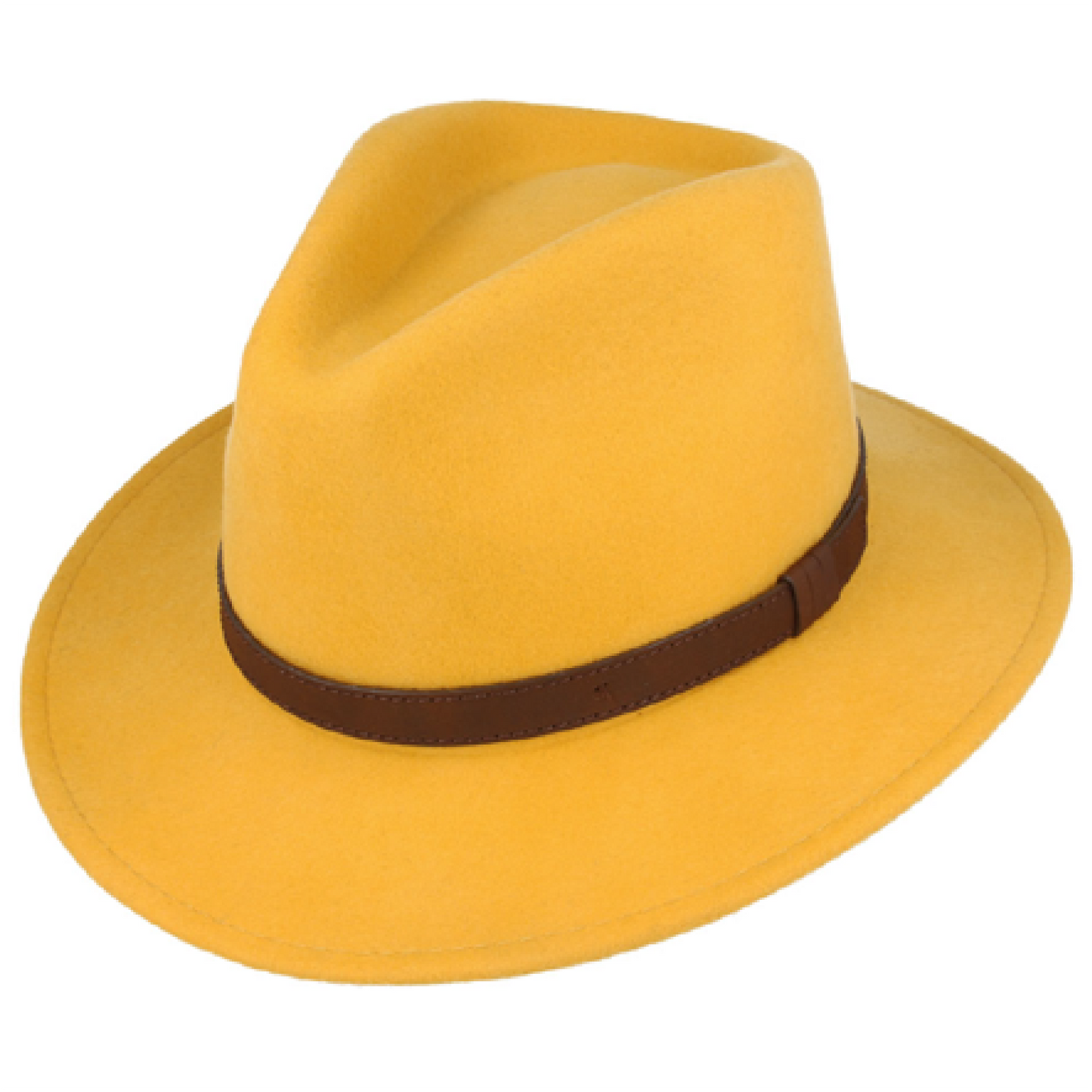 Modern Fedora Hat